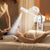 Facial Steamer